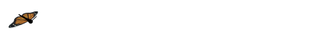 如何根据体型制定个性化的篮球训练方案_1